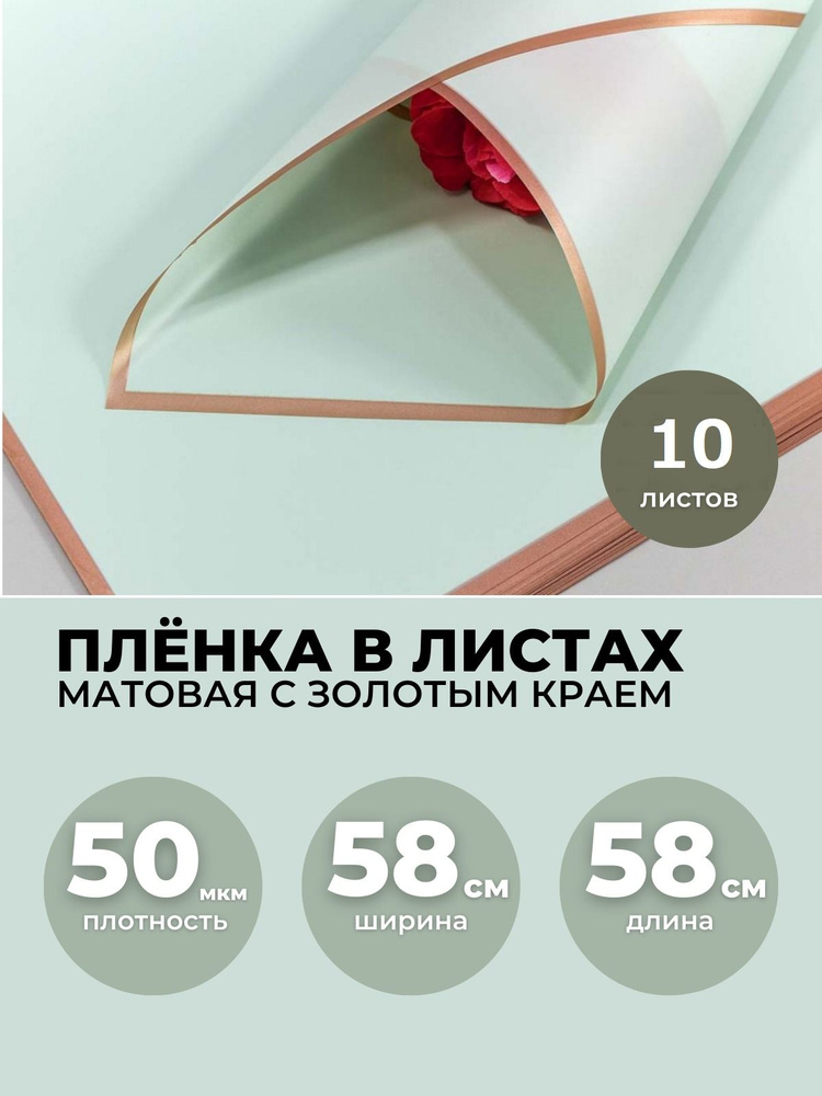 Пленка для цветов и подарков, в листах 58х58см, 10шт. 50мкм. Матовая с золотым краем.  #1