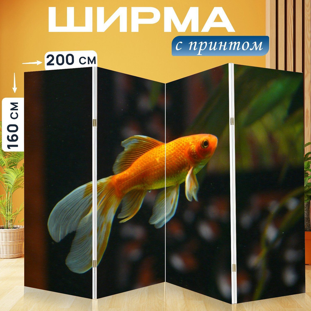 Ширма "Вуаль хвоста, рыбы, золотая рыбка" перегородка для зонирования комнаты с принтом 200x160 см. на #1