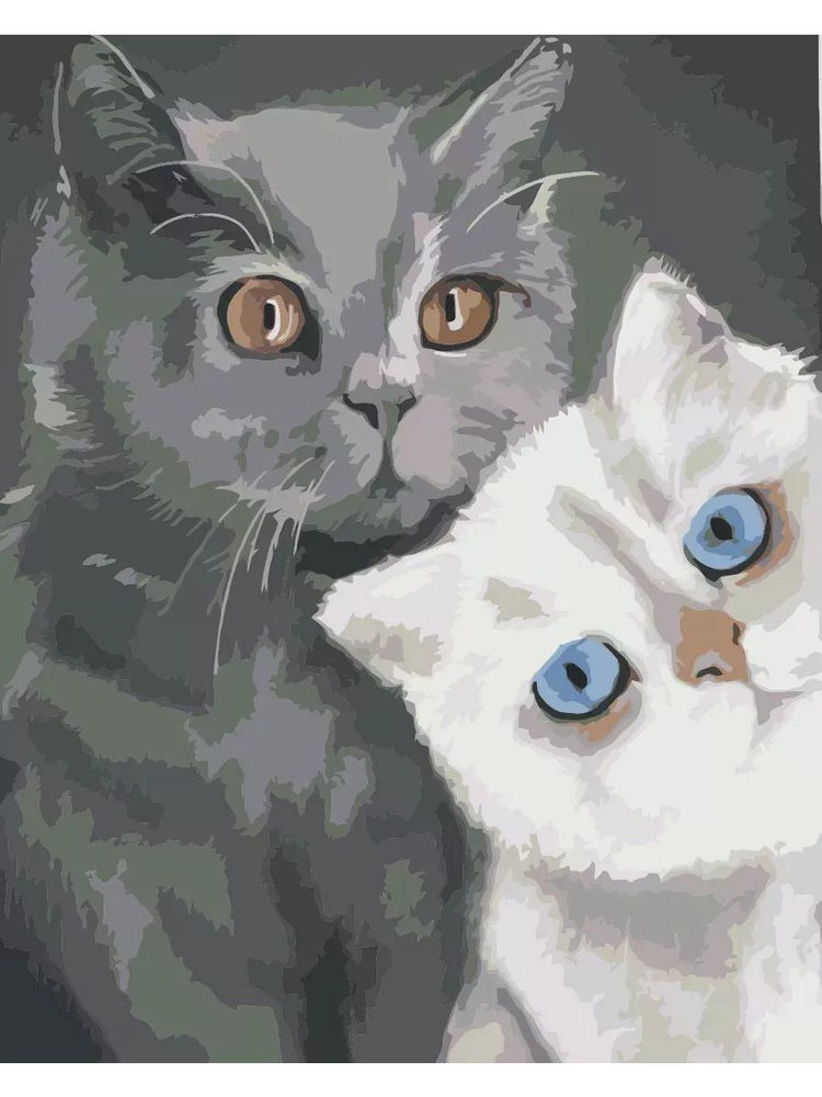 Картина по номерам британские коты Размер 40х50, на холсте на деревянном подрамнике, Акриловые краски #1
