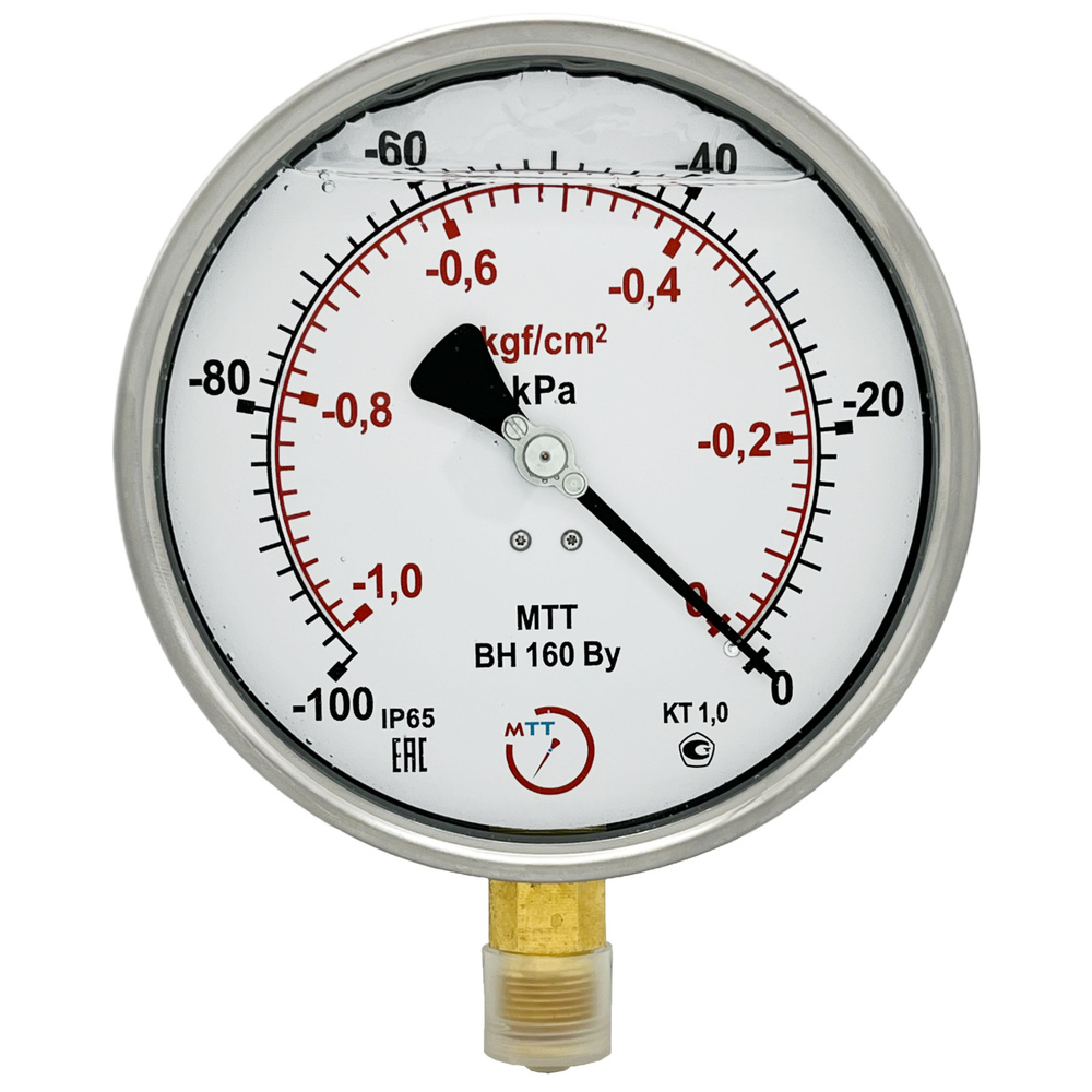 Вакуумметр виброустойчивый ВН160 (от -100 до 0 кПа) резьба М20х1,5 класс точности 1, диаметр корпуса #1
