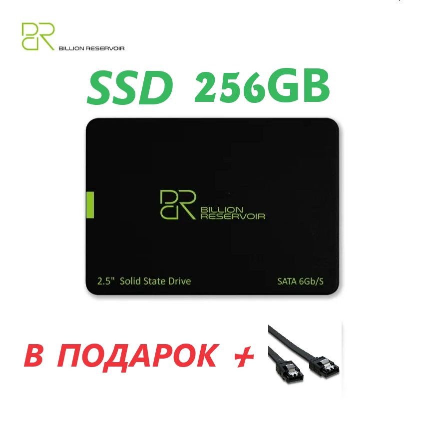 BILLION RESERVOIR 256 ГБ Внутренний SSD-диск BR 256 (j11) #1