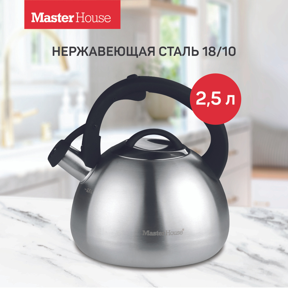 Чайник со свистком для плиты стальной Tommaso Master House 2,5 л на газовую и индукционную плиту нержавеющий #1