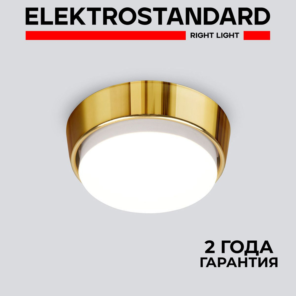 Потолочный накладной точечный светильник в стиле модерн Elektrostandard Lante 1037 GX53 GD золото  #1