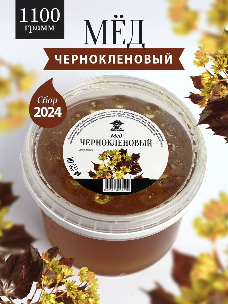 Чернокленовый мед 1100 г, натуральный мед, полезный подарок  #1