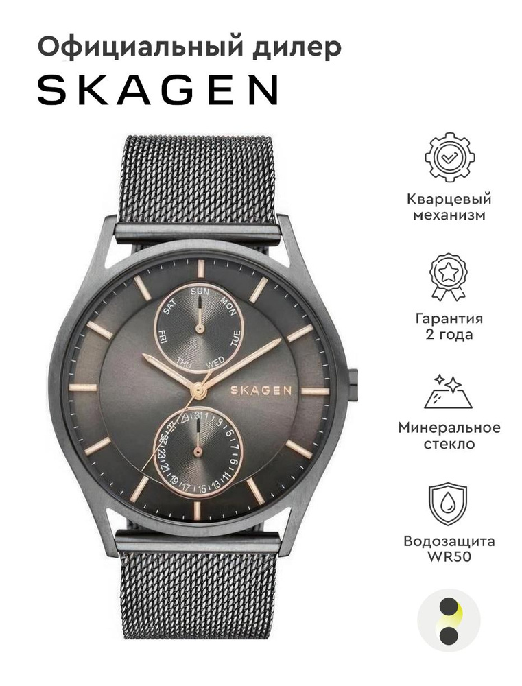 Мужские наручные часы Skagen Steel SKW6180 #1