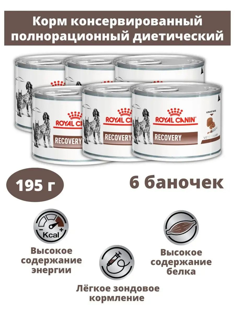 Влажный корм для собак и кошек Royal Canin Recovery в период анорексии и выздоровления, диетический, #1