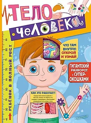 Тело человека. Гигантский разворот с окошками #1