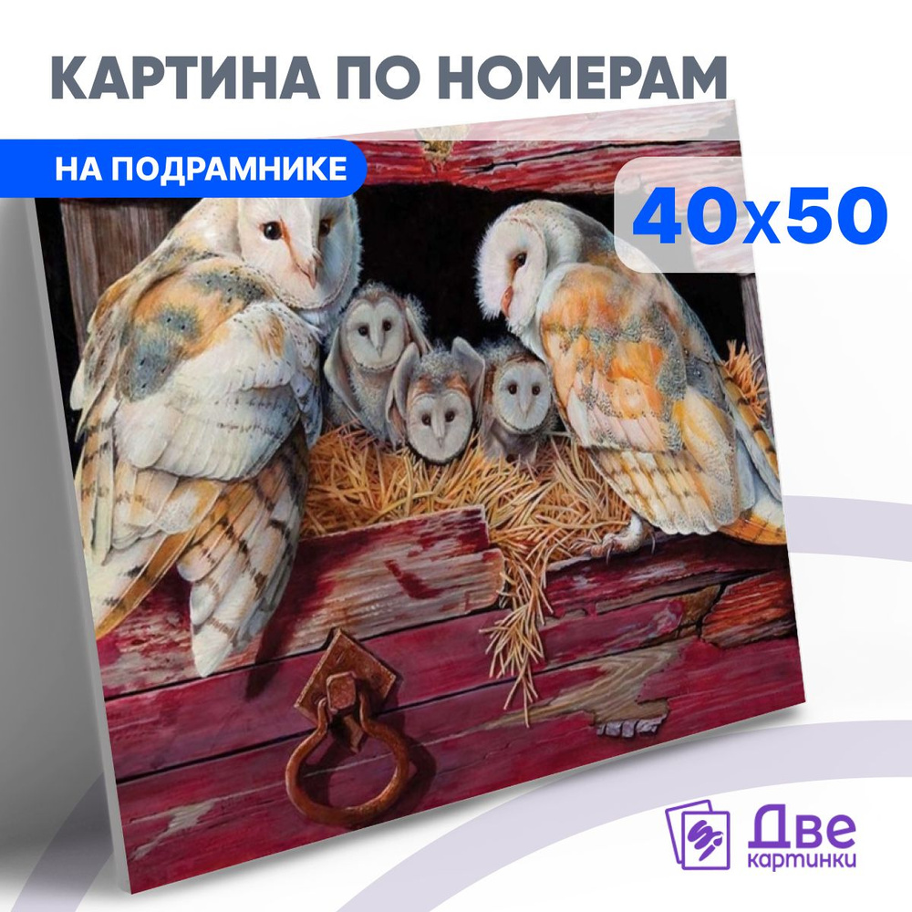 Картина по номерам на холсте 40x50 40 х 50 с подрамником DVEKARTINKI Обыкновенные сипухи и х потомство #1