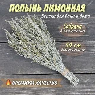 Веник для бани Полынь, 1 шт.  #1