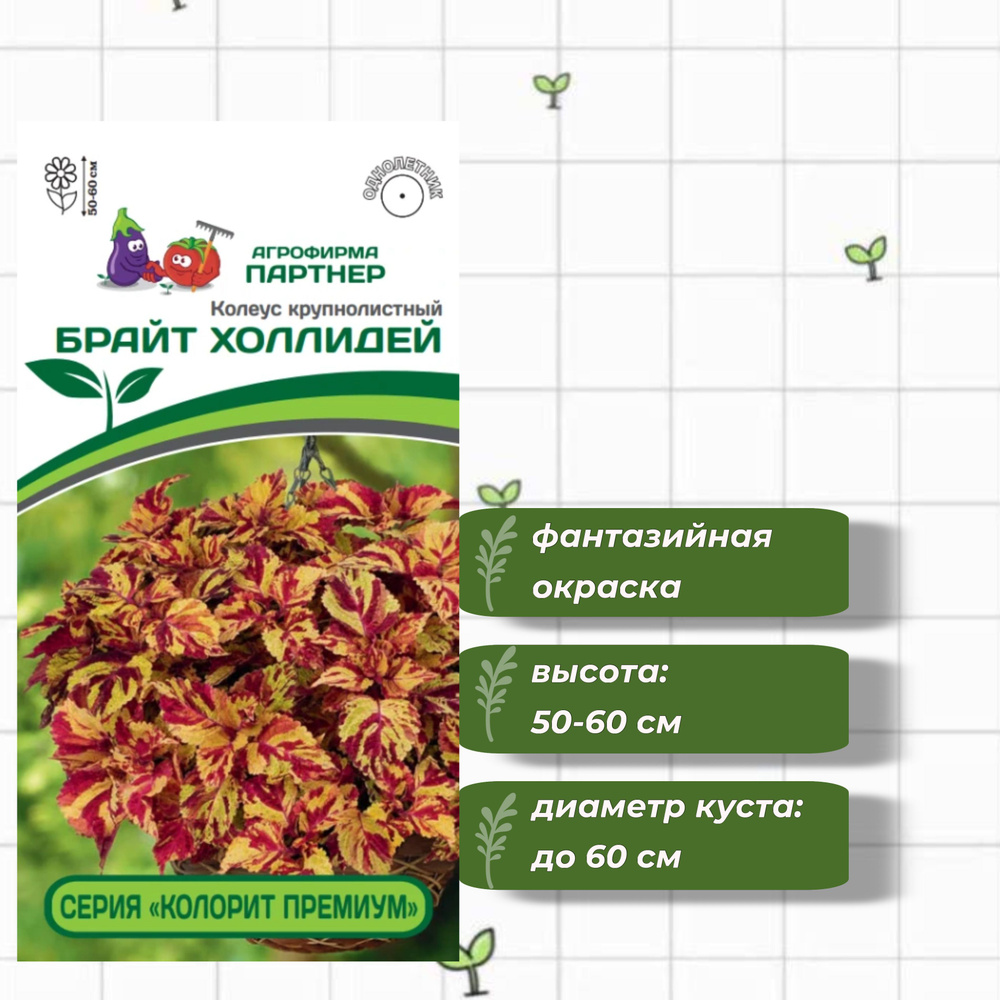 Колеус шлемниковидный крупнолистный Премиум Брайт Холлидей Агрофирма Партнёр 5 шт.  #1