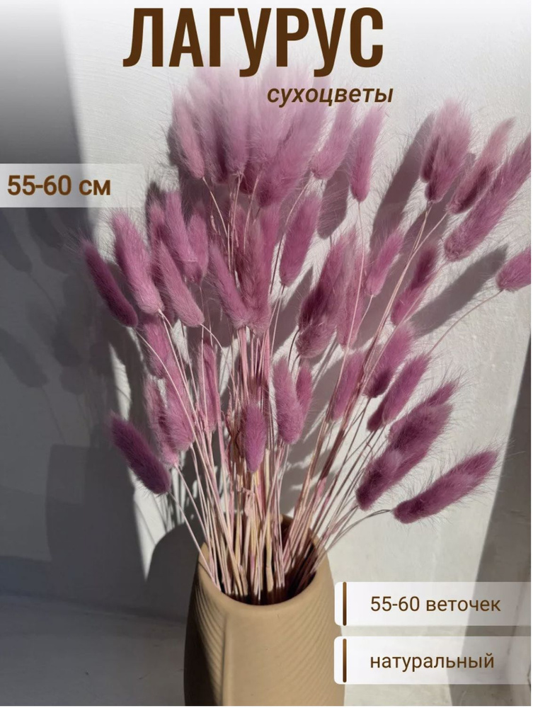 CRISPA FLOWERS Сухоцветы Лагурус, 60 см, 55 шт #1