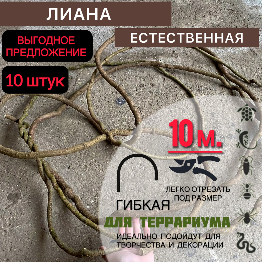 Лианы для декора, Украшение террариума 100метров. 10 шт. по 10м.  #1