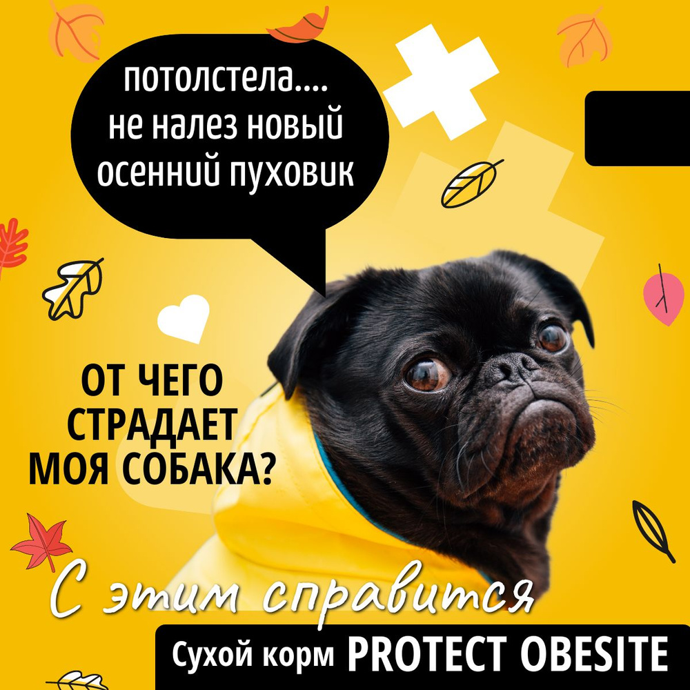 Корм сухой диетический для собак с ожирением Protect Obesite, гипоаллергенный, при сахарном диабете, #1