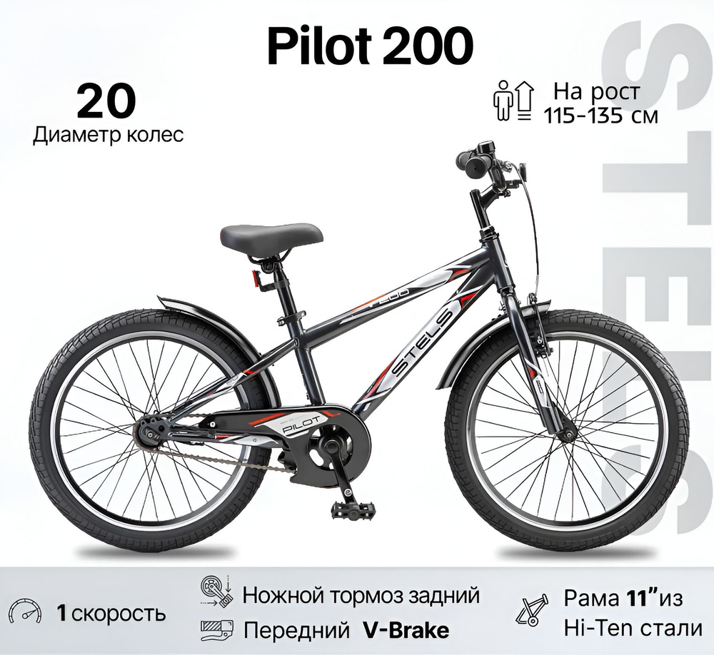 Велосипед Городской, STELS Pilot-200 Gent, рама 11", колесо 20", темно-серый  #1