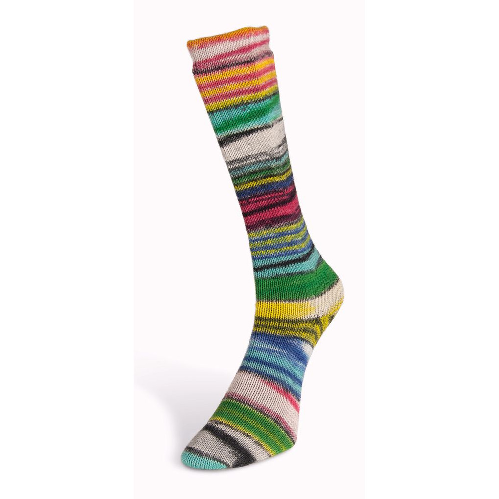 Пряжа Eclectic Sock Laines Du Nord - 1 моток (100 гр, 420 м), цвет 06 #1