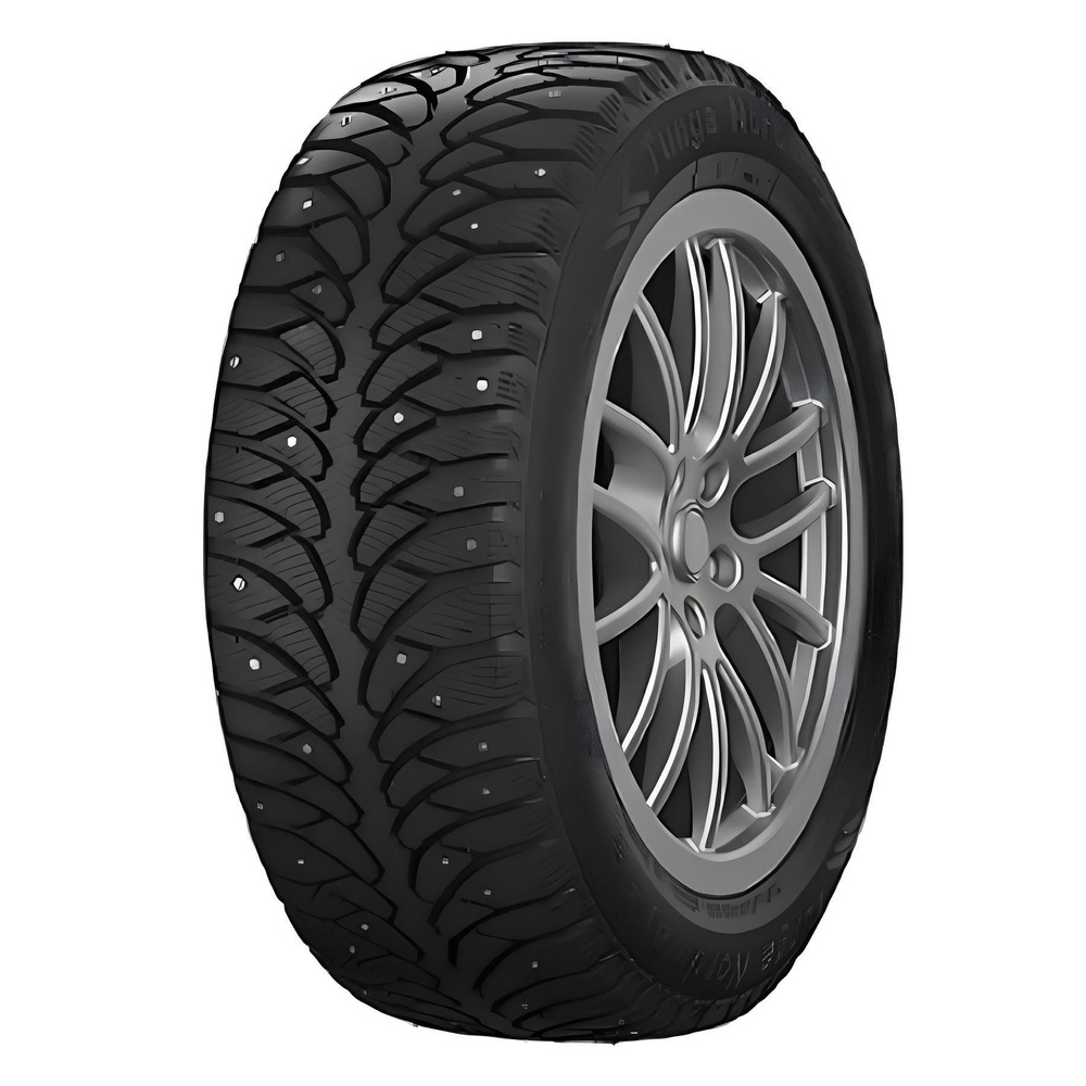 Tunga Nordway 2 Шины  зимние 205/65  R15 94Q #1