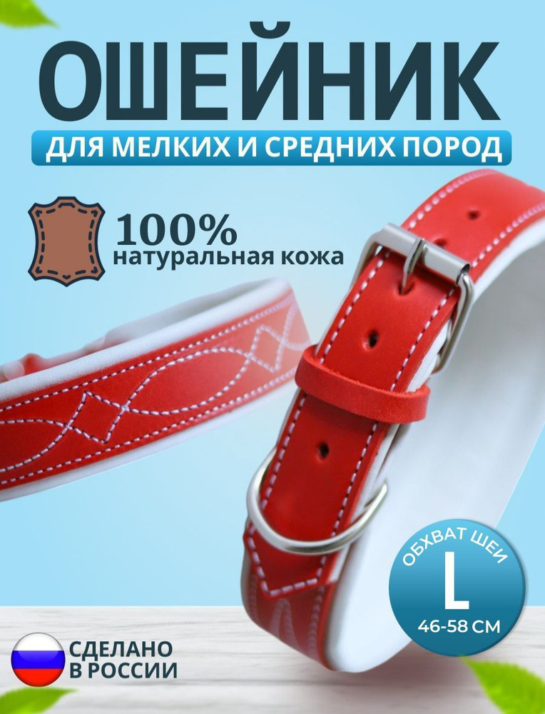 Ошейник для собак кожаный, анатомический, для крупных пород, ширина 2,5 см, обхват шеи 46-58 см, красный #1