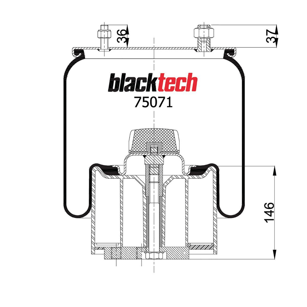 Blacktech Пневморессора, арт. RML75071CP, 2 шт. #1