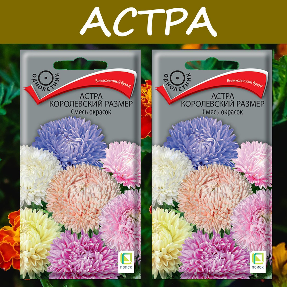 Астра королевский размер Смесь окрасок, 2 упаковки, "Великолепный букет"  #1
