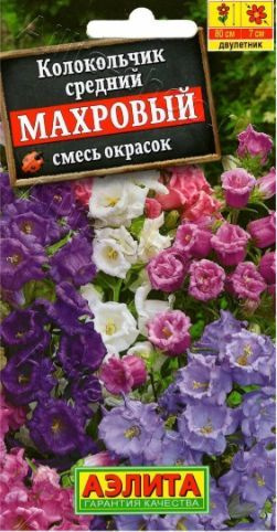 Колокольчик средний Махровый ( 3 упаковки ) , смесь окрасок  #1