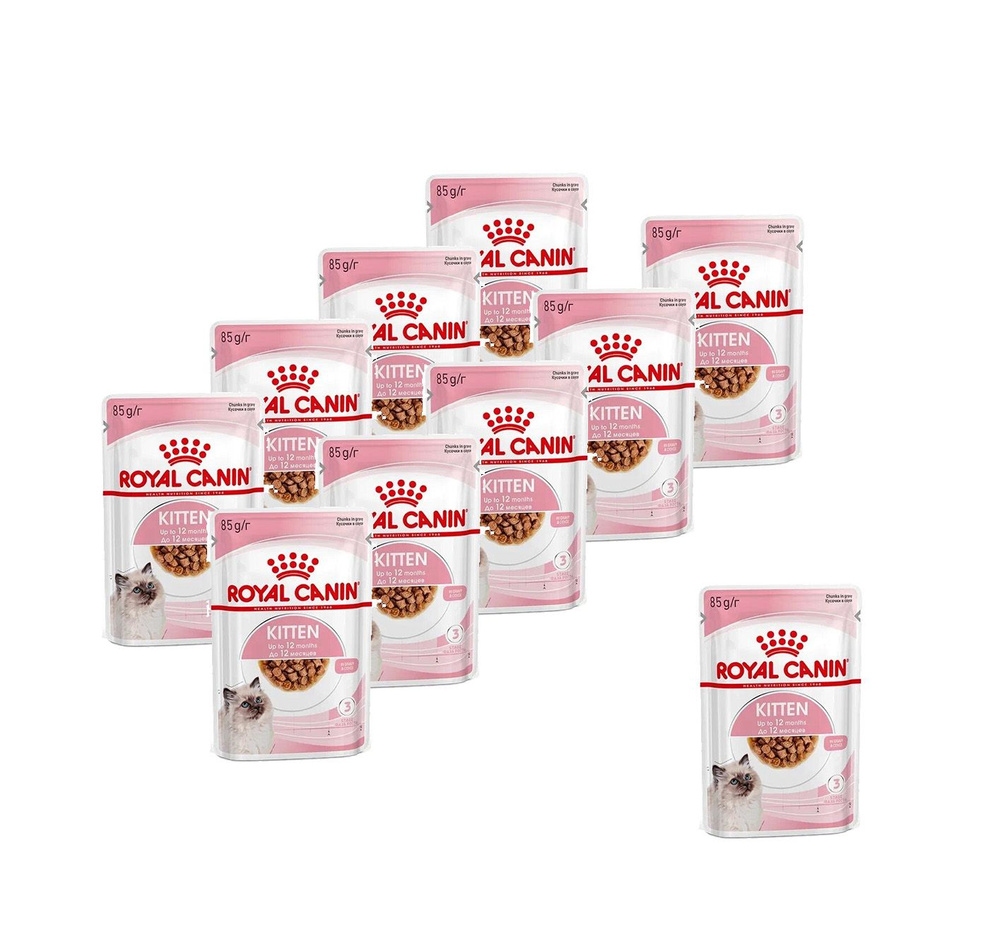 Royal Canin Kitten влажный корм котят до 12 месяцев кусочки в желе, в паучах - 85 г х 10 шт.  #1