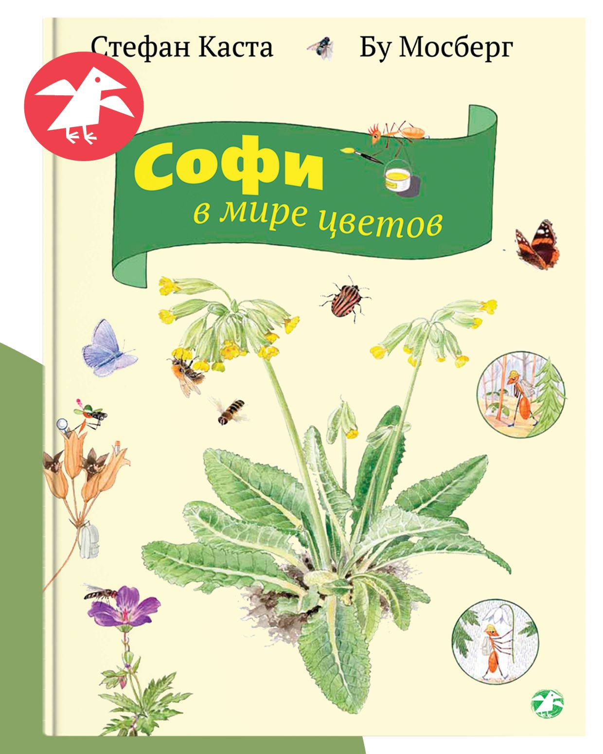 Софивмирецветов|КастаСтефан