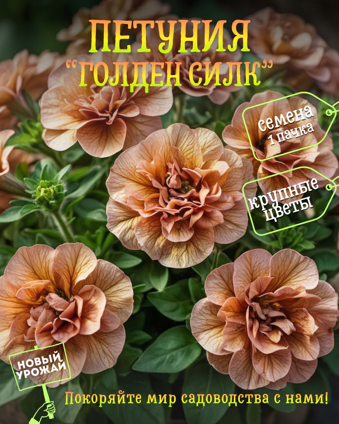 Петунияампельная(махровая)ГолденСилк(GoldenSilk-Золотойшёлк),семена,10шт.