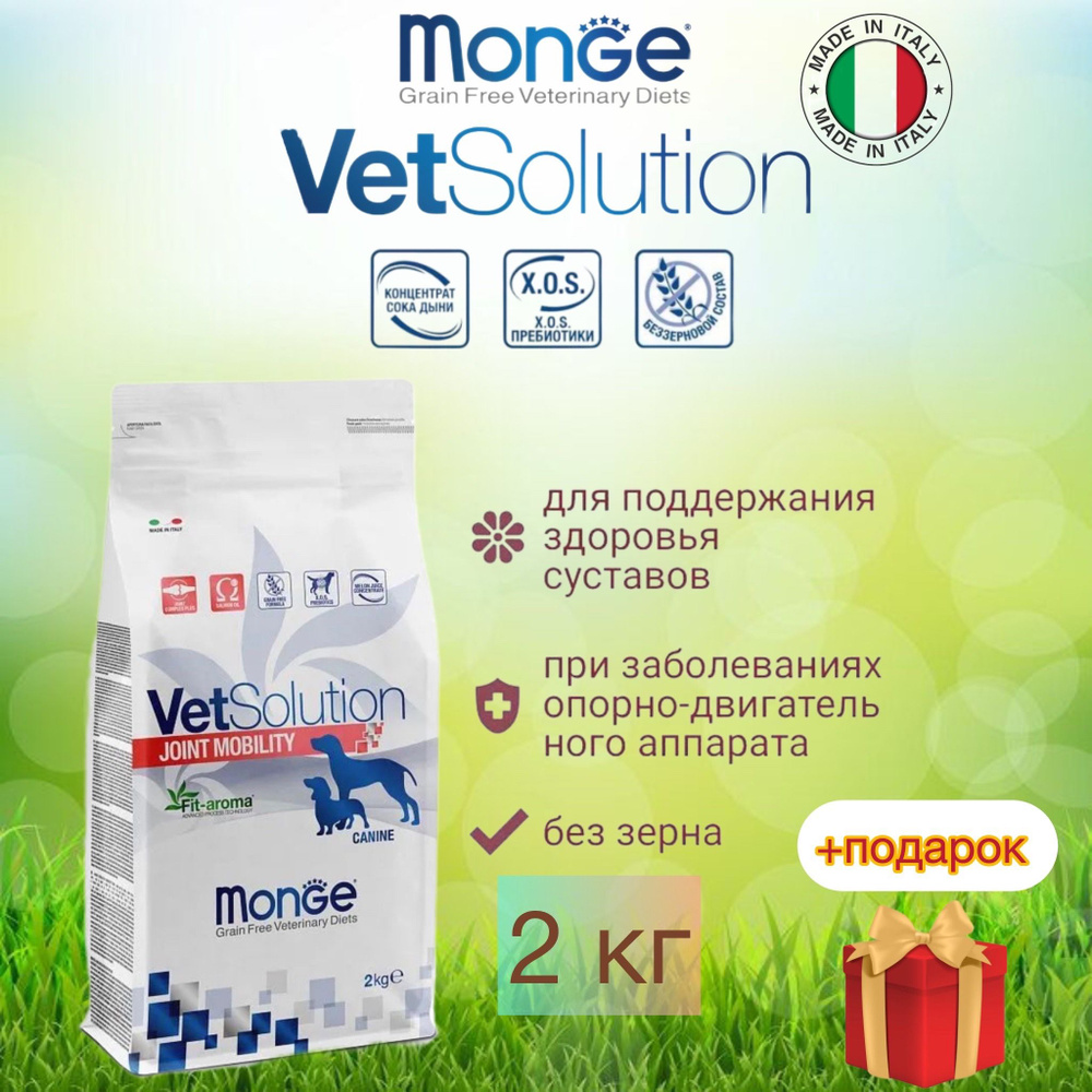 Monge vetsolution dog joint mobility/Ветеринарная диета для собак при проблемах суставов, 2 кг  #1