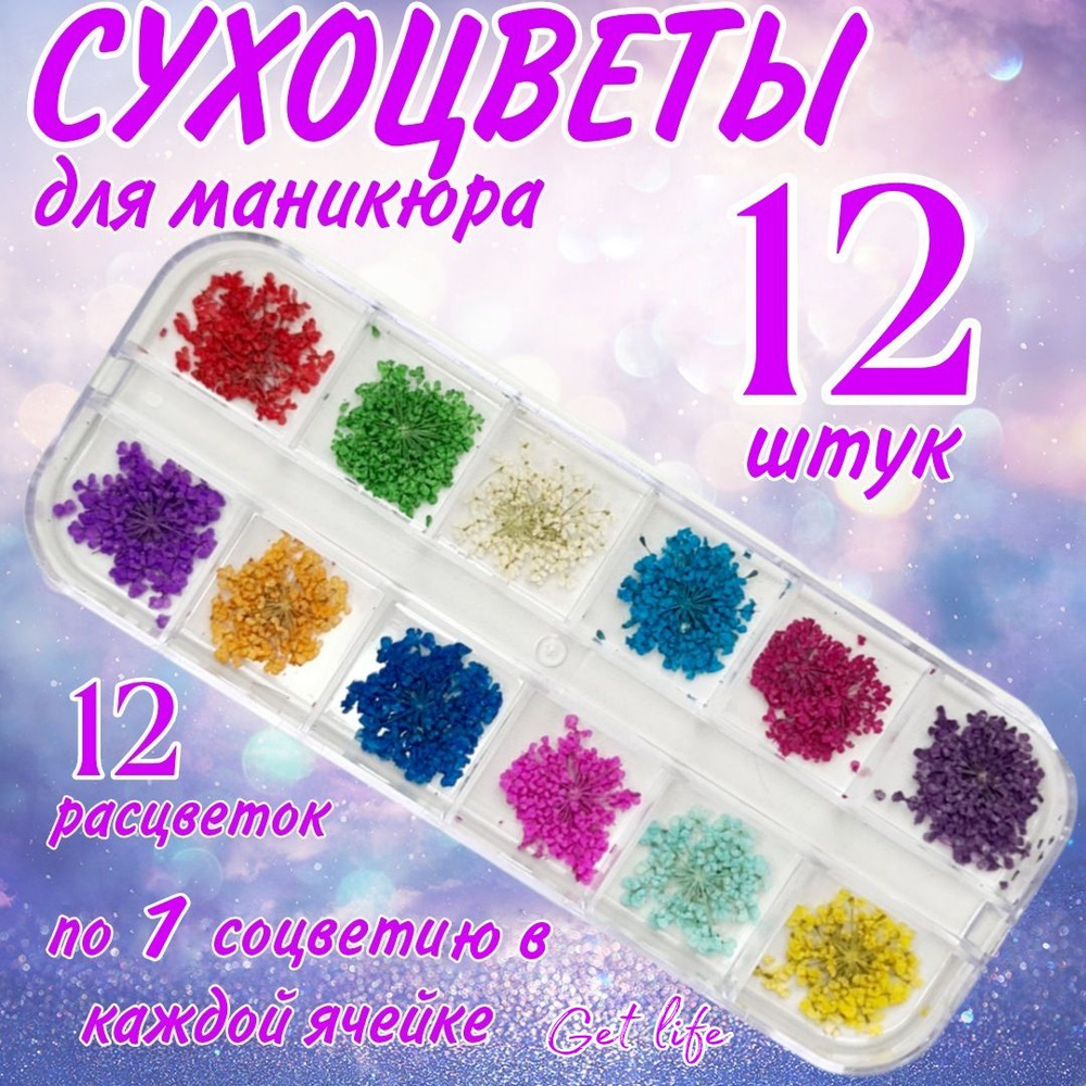 Сухоцветы для дизайна ногтей D 1-2 см. + пластиковый кейс, 12 шт. соцветий, набор 12 расцветок.  #1