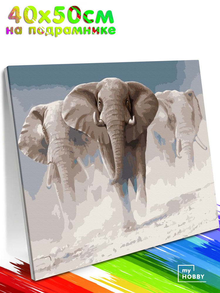 Картина по Номерам на Холсте 40х50 см Colibri Три Слона С Подрамником для Детей и Взрослых  #1