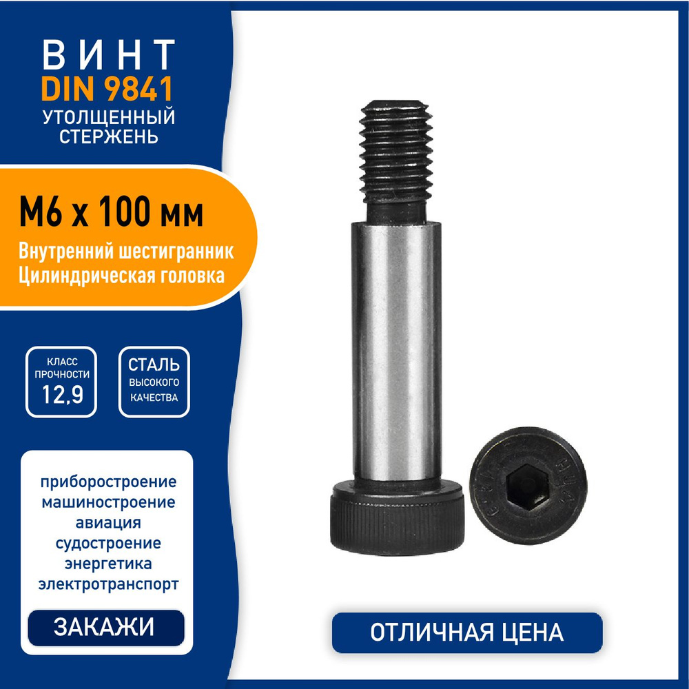 Винт DIN 9841 (ISO 7379) M6 х 100 мм с утолщенным стержнем и внутренним шестигранником, сталь класса #1