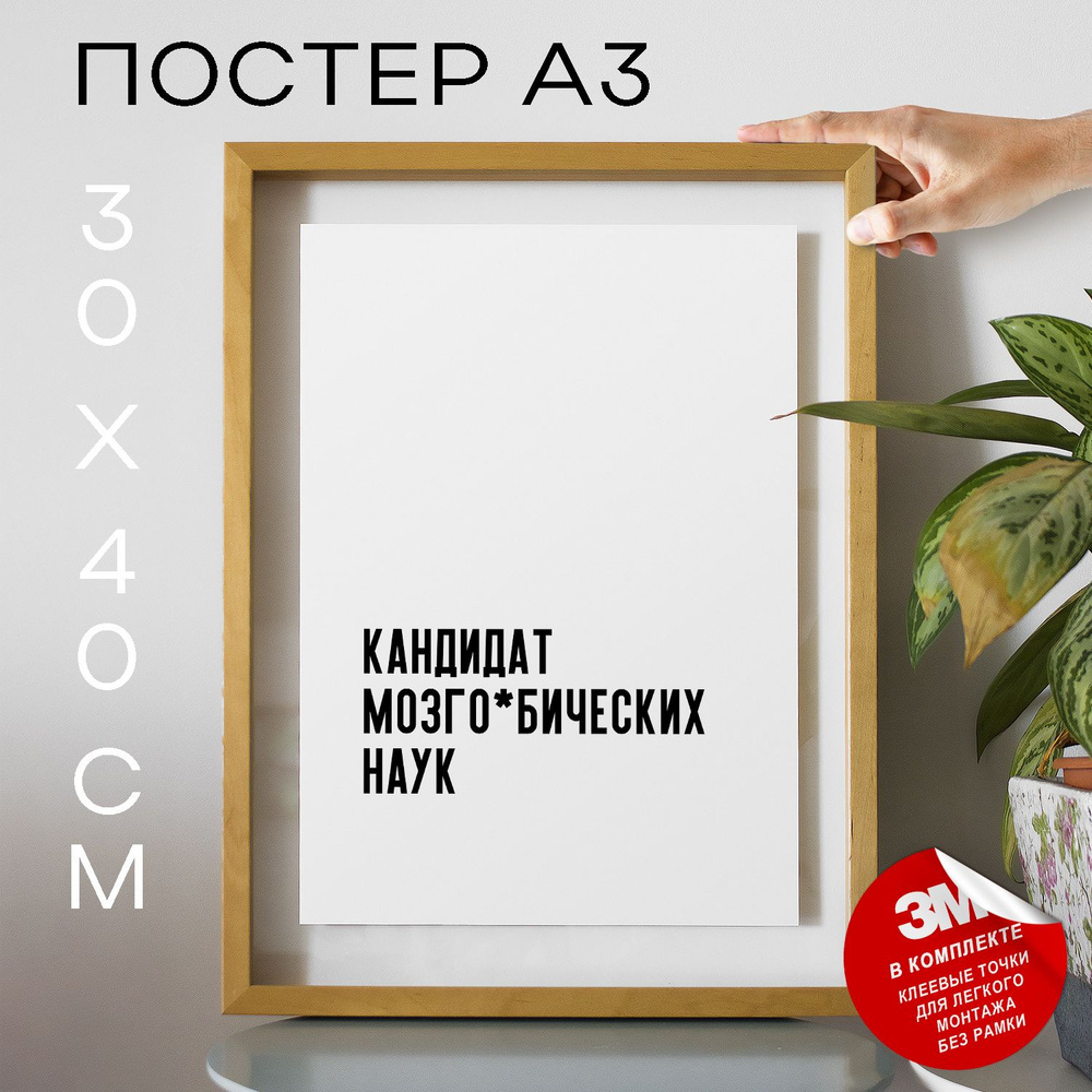 Постер "Кандидат мозго*бических наук", 40 см х 30 см #1