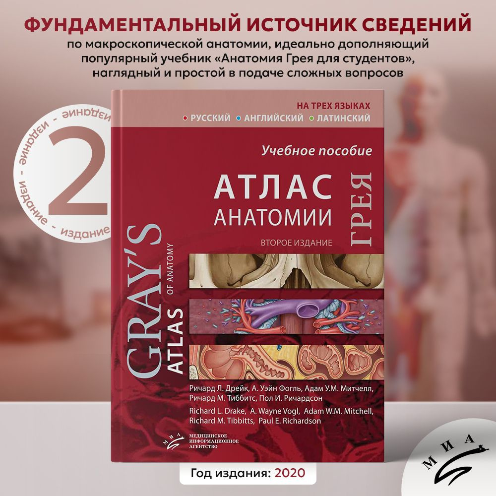 Атлас анатомии Грея: Учебное пособие / русский, английский, латинский (Ричард Л. Дрейк)  #1