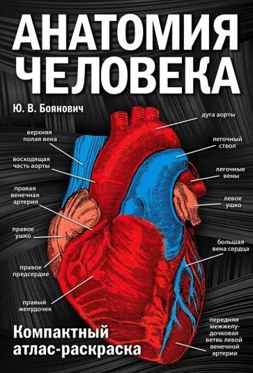 Анатомия человека. Компактный атлас-раскраска | Боянович Юрий Владимирович  #1