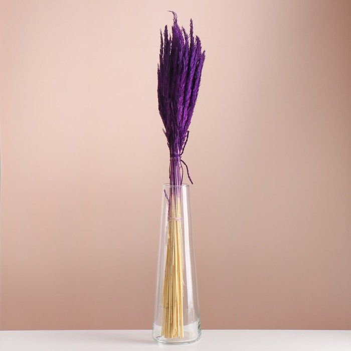 Набор сухоцветов "Вейник", банч длина 65 (+ - 6 см), фиолетовый  #1