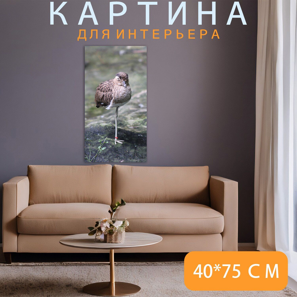 LotsPrints Картина "Кулик, птица, камень 34", 75  х 40 см #1