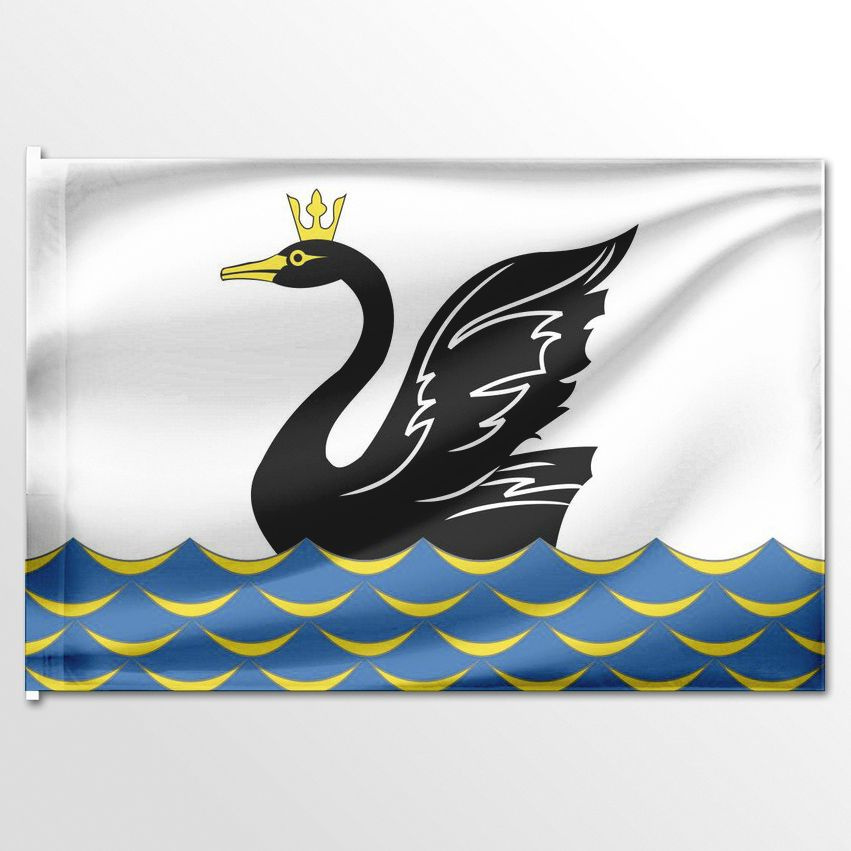 Флаг ЦТП ФЕНИКС Еманжелинска 135x90 см #1