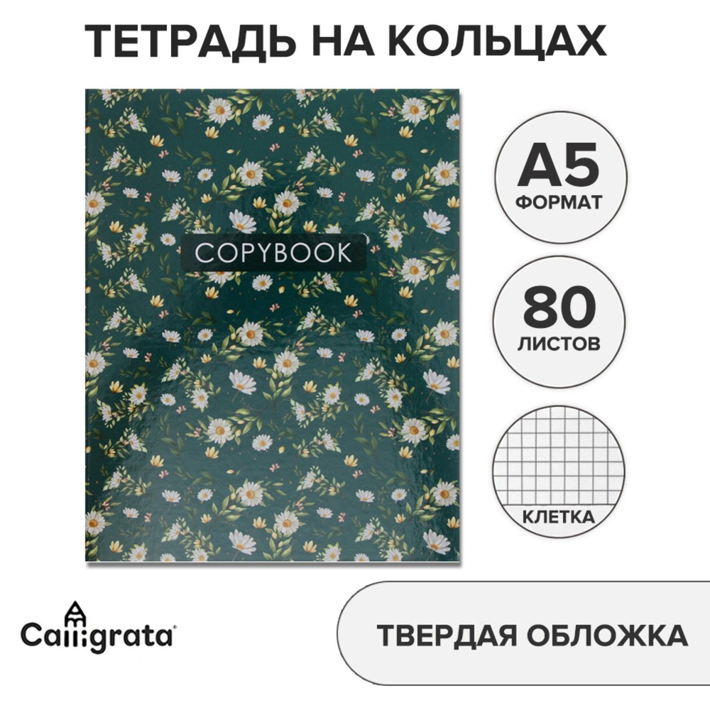 Calligrata Набор тетрадей, листов: 80 #1