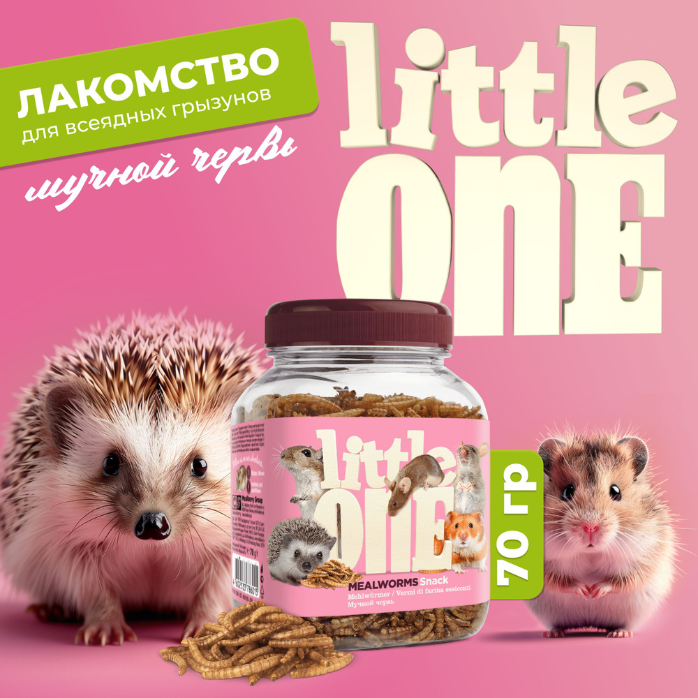 Лакомство Little One Мучной червь для всеядных грызунов, 70 гр  #1