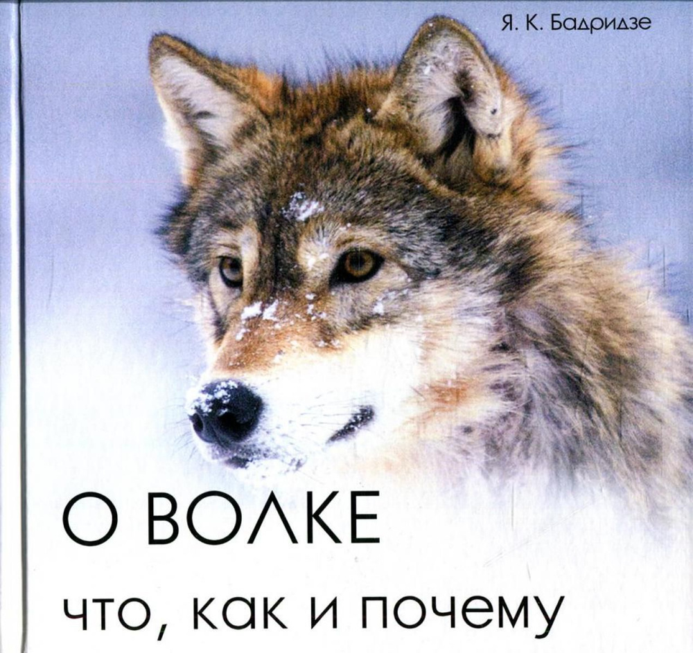 О волке: что, как и почему | Бадридзе Ясон Константинович  #1