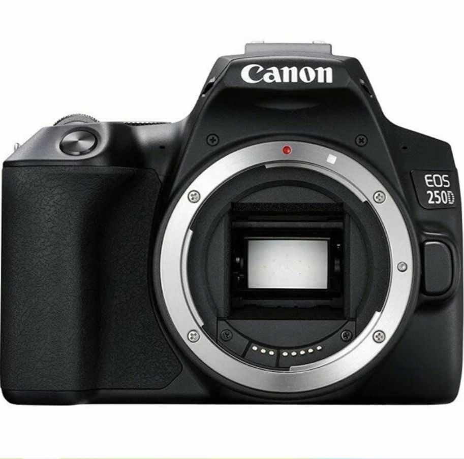 Фотоаппарат Canon EOS 250D Body #1