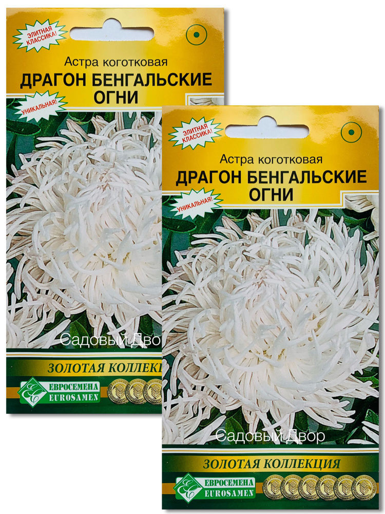 Астра ДРАГОН Бенгальские Огни коготковая, 2 пакета, семена по 0,1 гр, Евросемена  #1