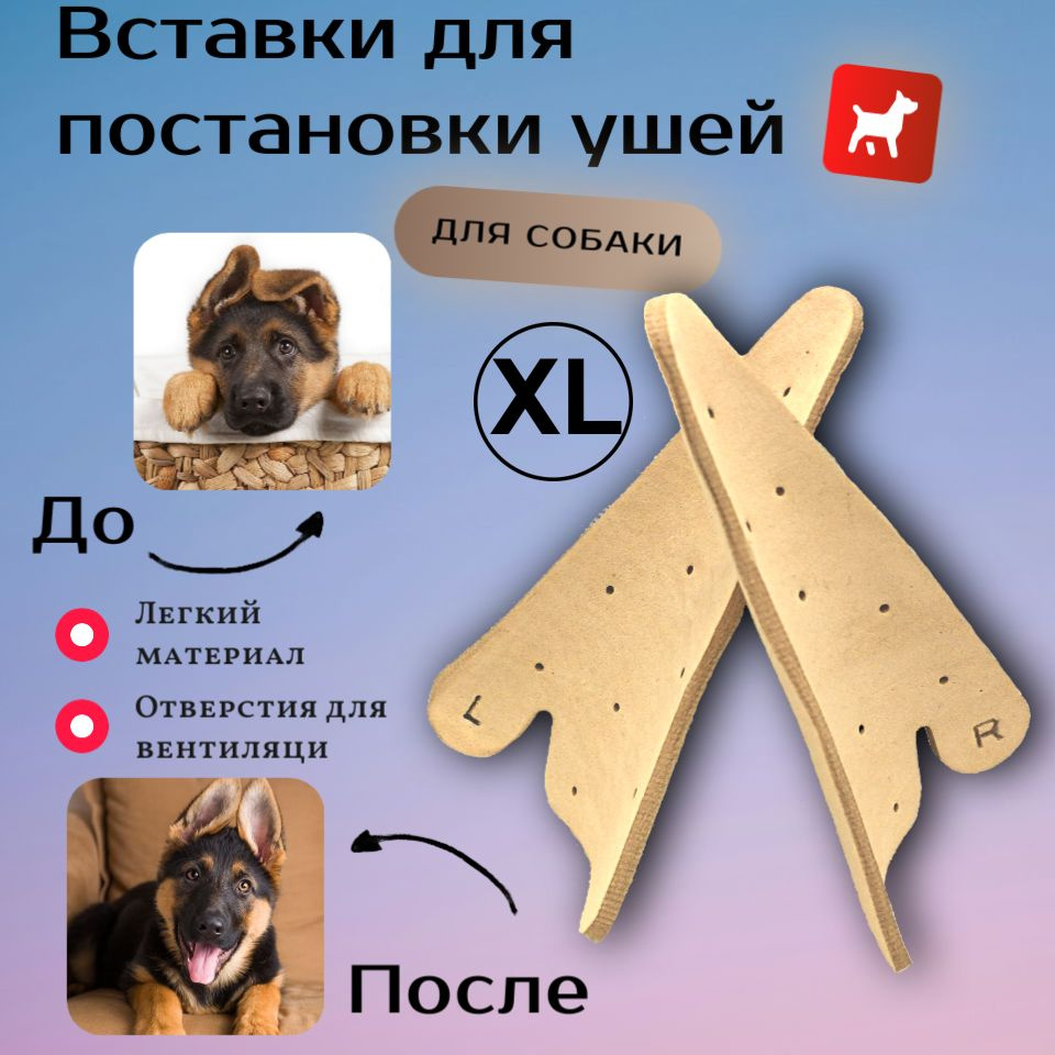 Вставки для постановки ушей у собак (Размер XL) #1