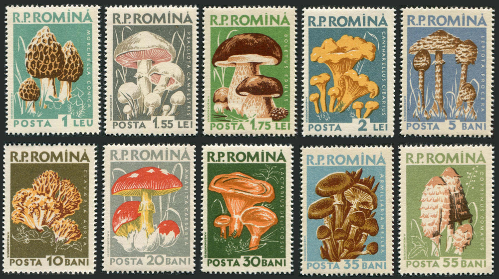 Румыния-1958. Грибы. Серия из 10 марок. Негашеная #1