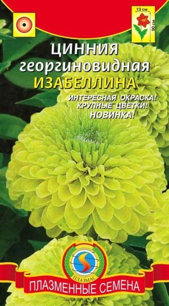 Семена Цинния георгиновидная Изабеллина 03 гр Плазменные семена  #1