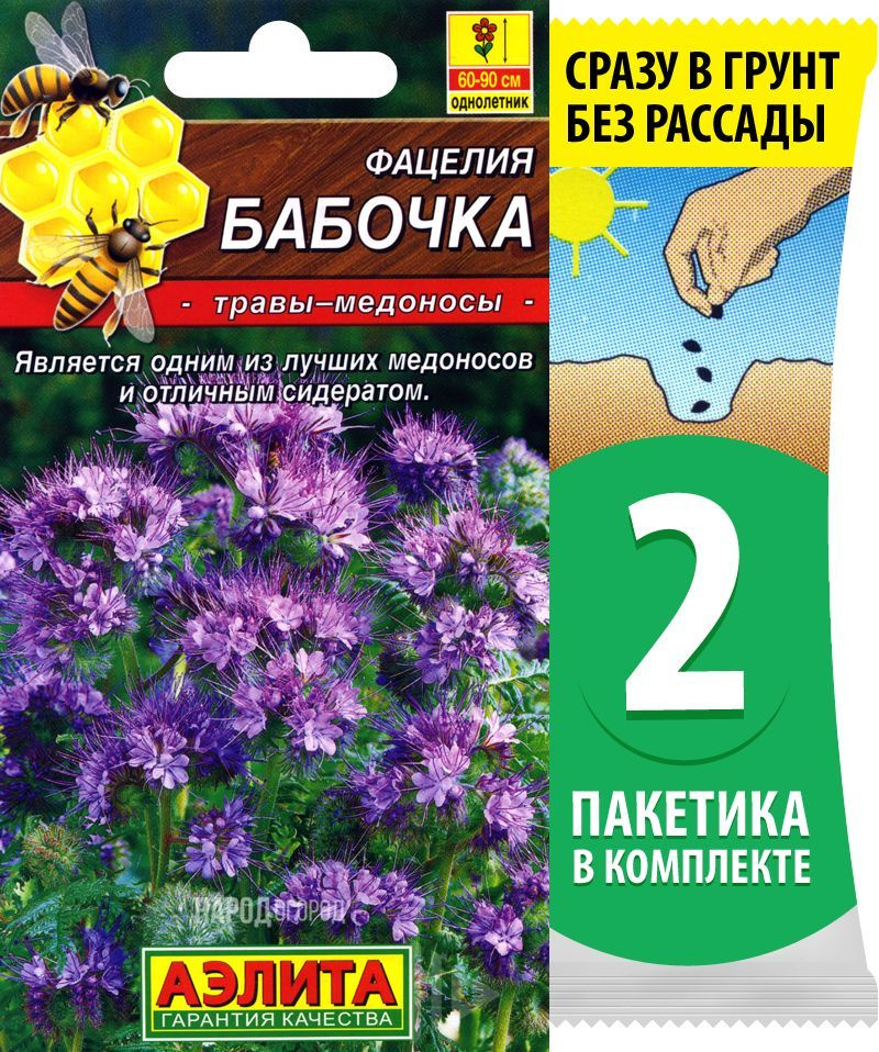 Семена Фацелия Бабочка (медонос и сидерат), 2 пакетика по 2г/650шт в каждом  #1