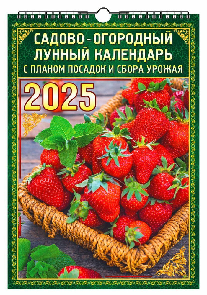 Календарь на 2025 год настенный на спирали, ЭЛС KNB-08 размер 35*50 см, Садово-огород лунный.  #1