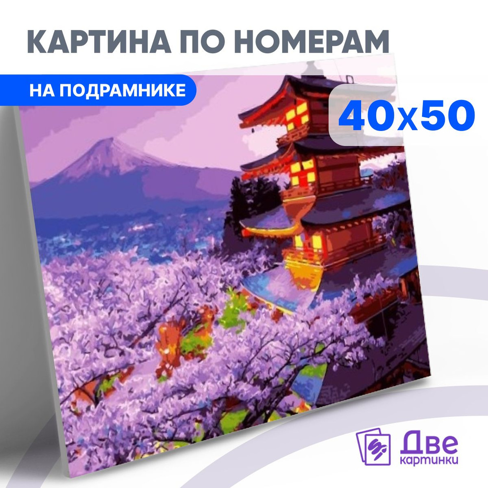 Картина по номерам на холсте 40х50 40 x 50 на подрамнике DVEKARTINKI  #1