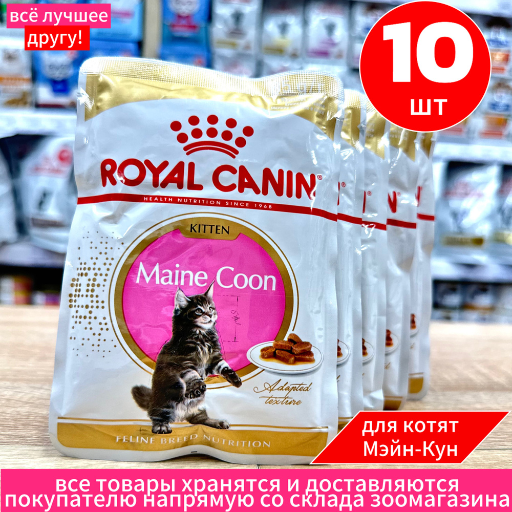 Корм влажный ROYAL CANIN Maine Coon Kitten для котят породы мейн кун, 85г*10шт  #1