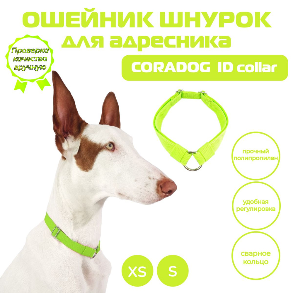 Ошейник шнурок для адресника, CORADOG ID collar, размер XS, салатовый  #1